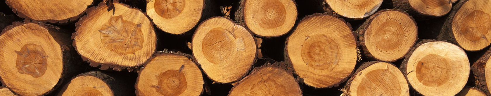 LEGNO